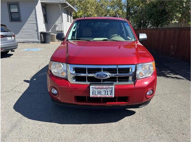 2010 ford escape xlt