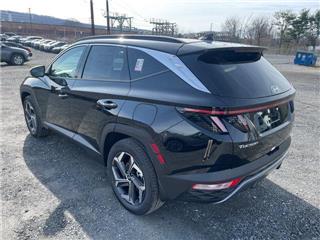 2024 Hyundai Tucson limited