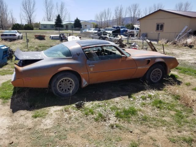 1981 trans am ws6