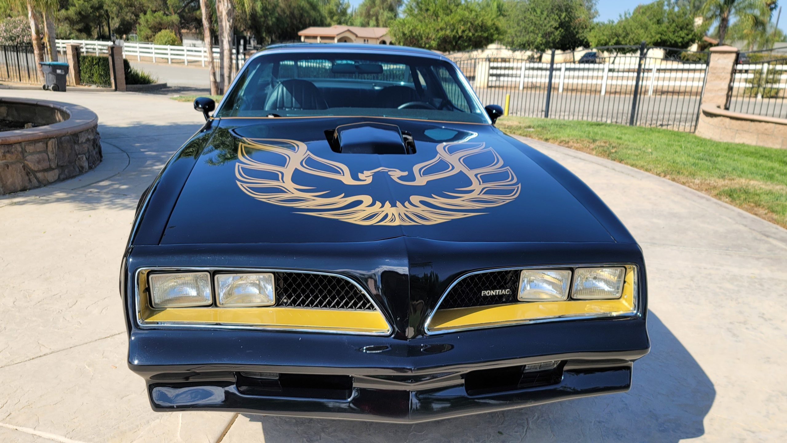 1978 pontiac firebird trans am