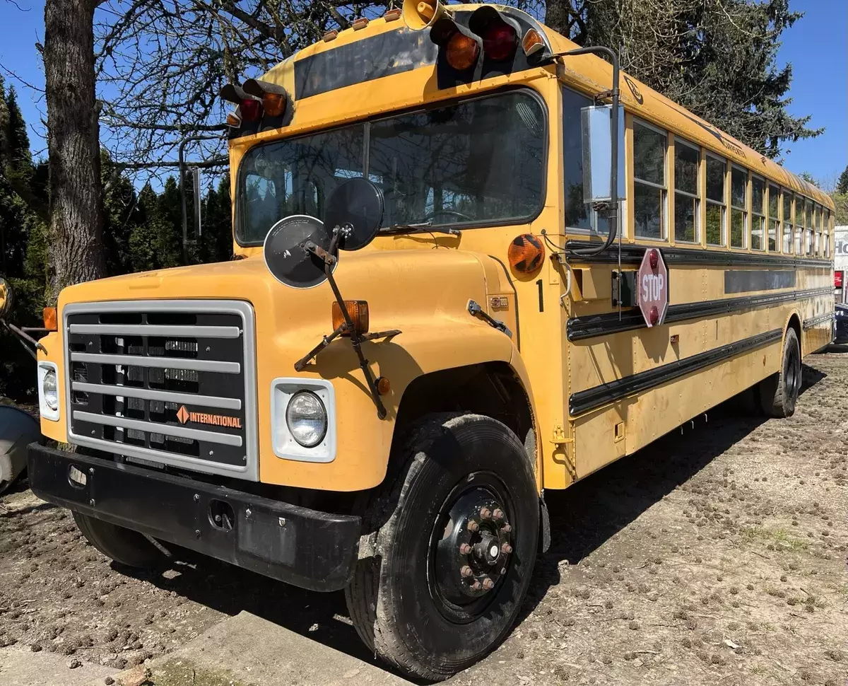 1989 international s-series brown 1853