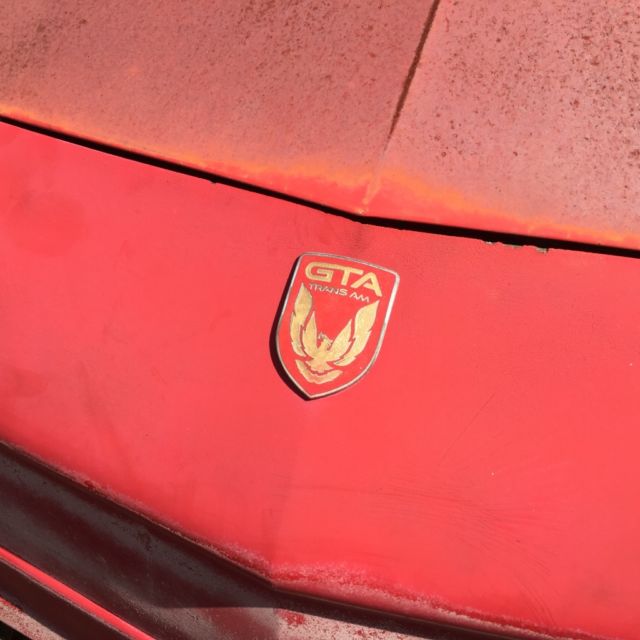 1989 pontiac trans am gta