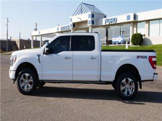 2022 Ford F-150 platinum