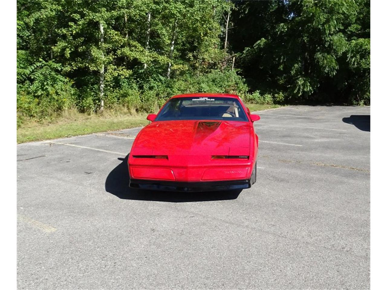 1984 pontiac firebird