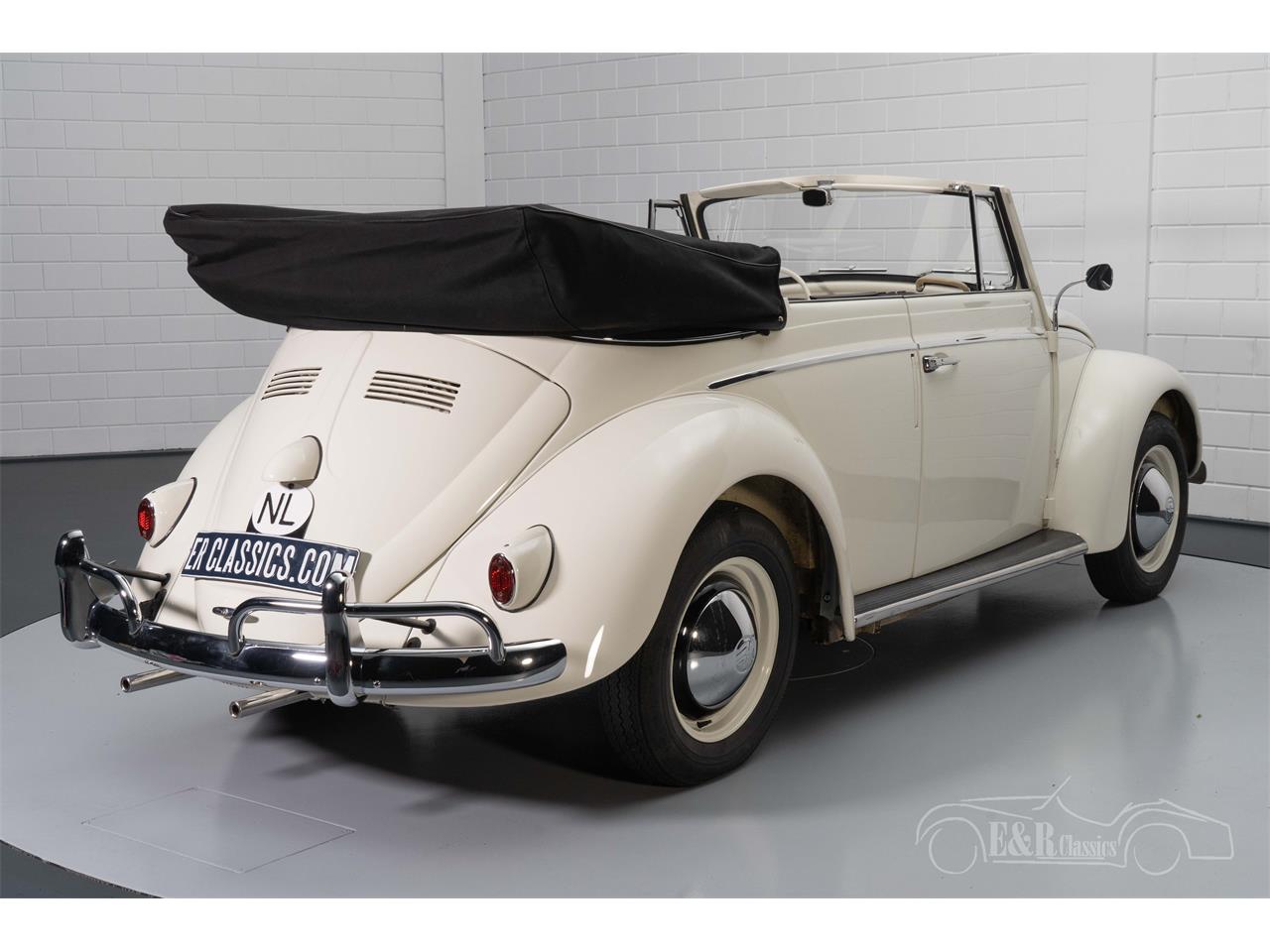1960 volkswagen beetle