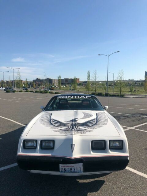 1981 trans am pace car turbo