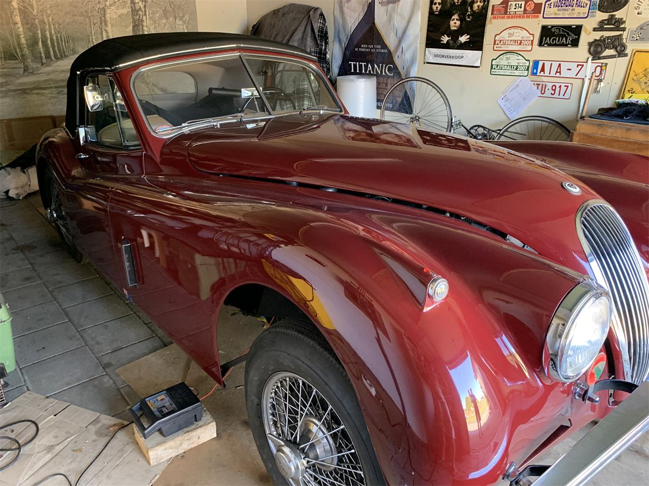 1953 jaguar xk120