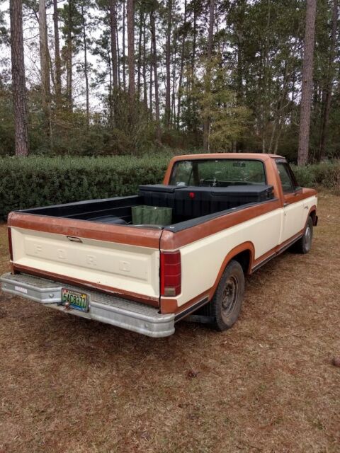 ford f100 f-100 classic custom 1981 f150 1980 1982