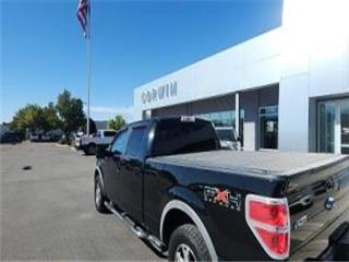 2009 Ford F-150 fx4