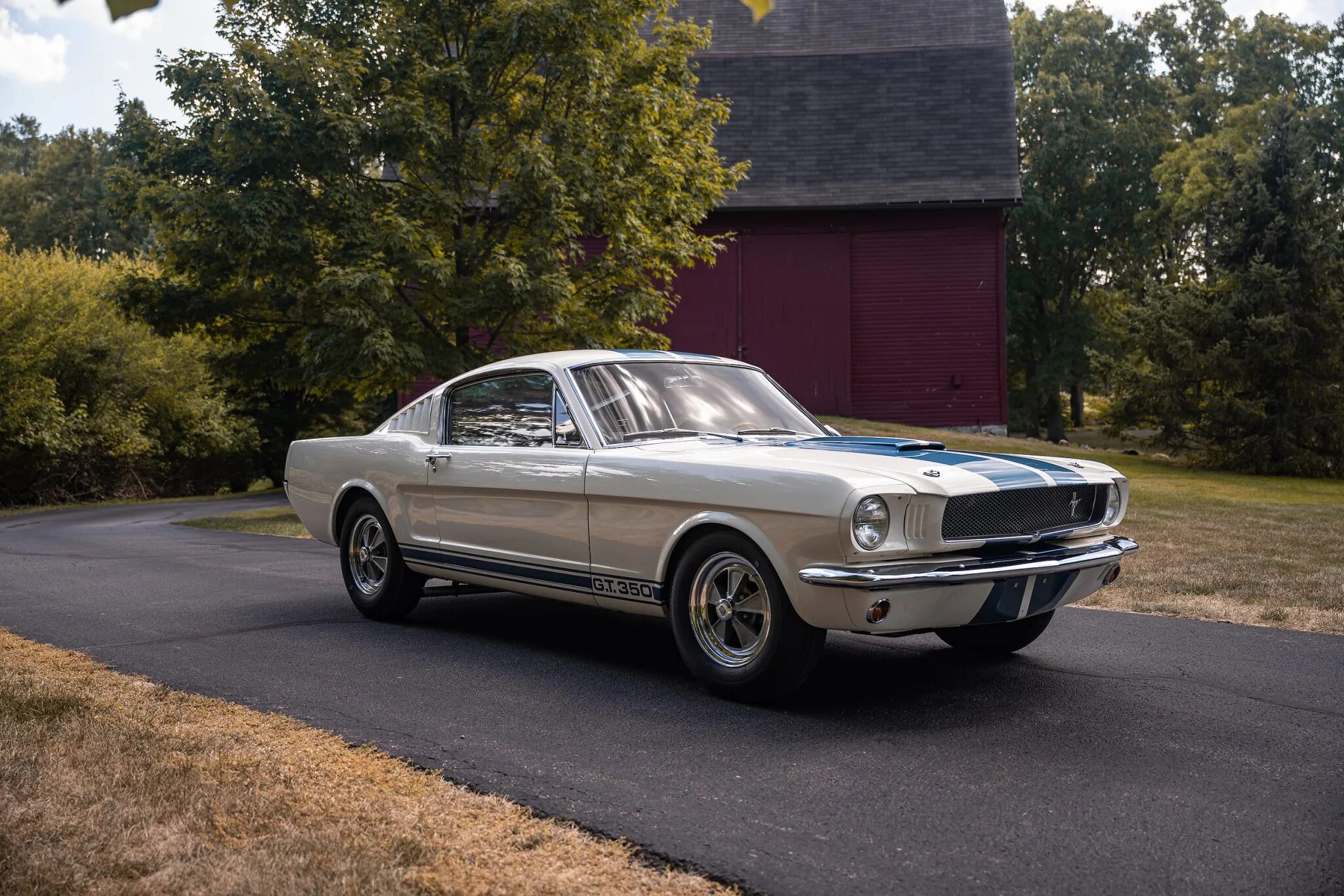 shelby mustang gt350