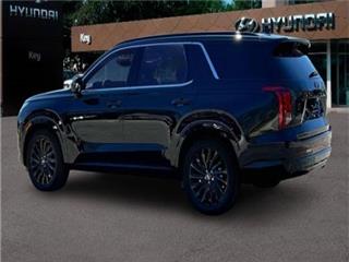 2024 Hyundai Palisade calligraphy night edition