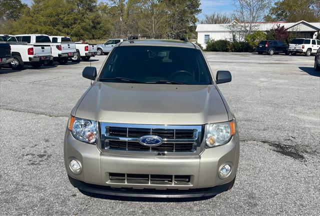 2011 ford escape xlt