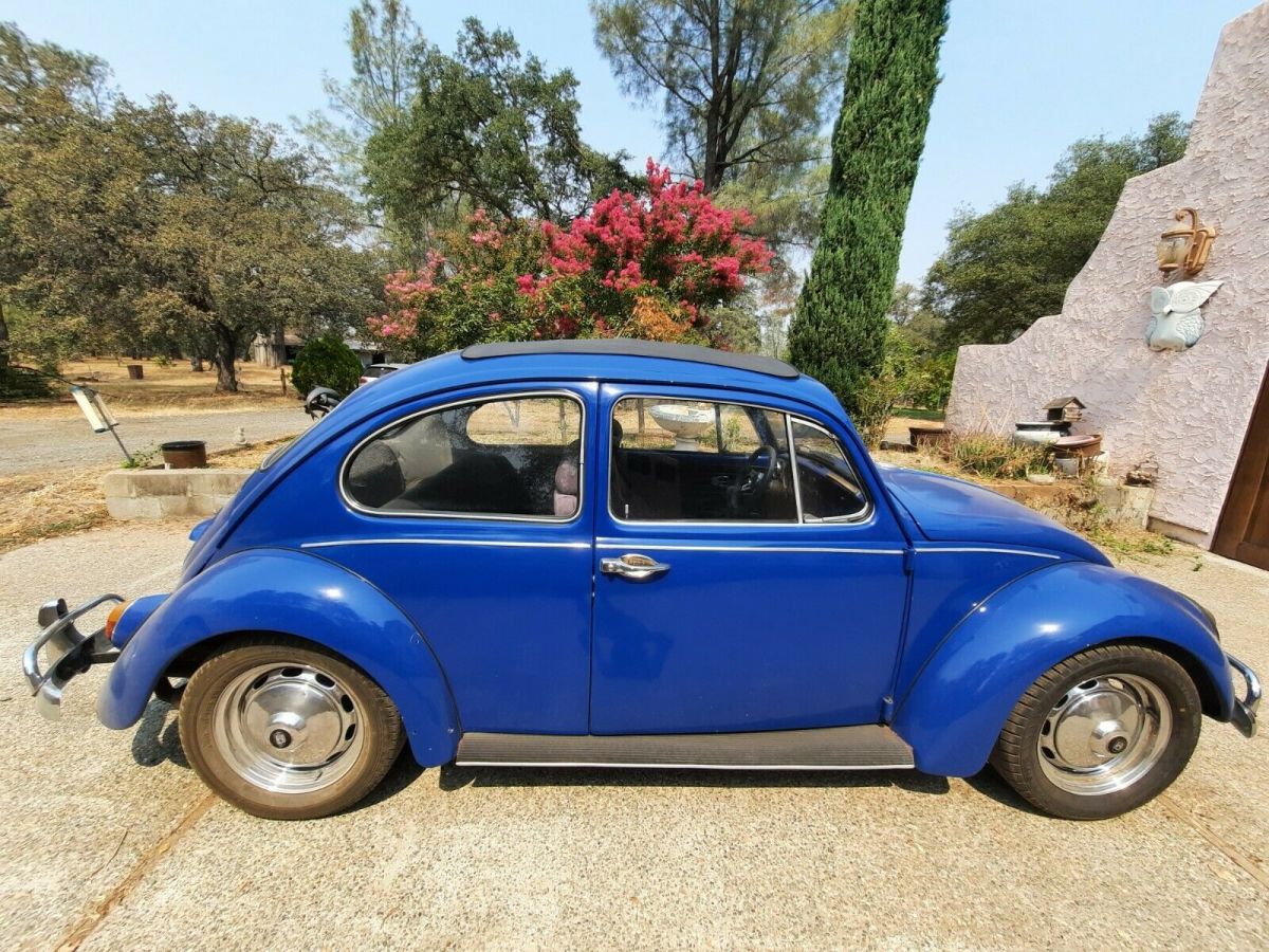 1967 volkswagen vw beetle bug "rag top" ca car,no rust,looks,runs great,bid now!