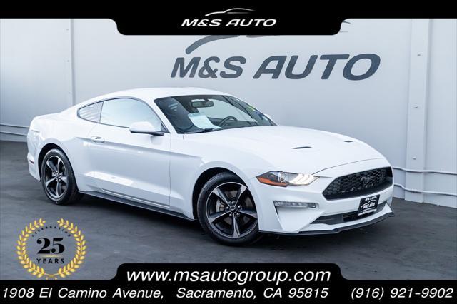 2019 ford mustang ecoboost