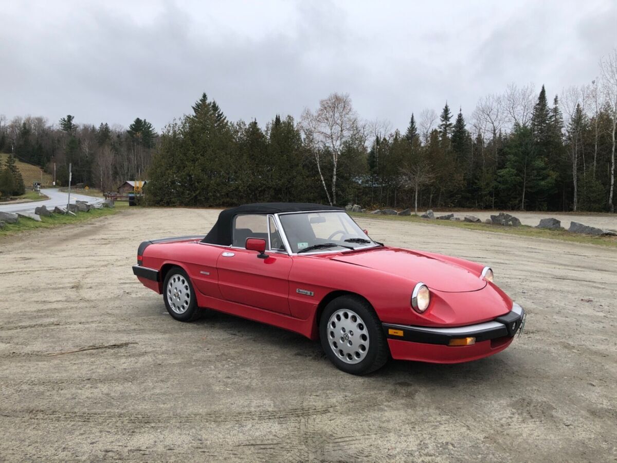 very nice example of a classic alfa spider