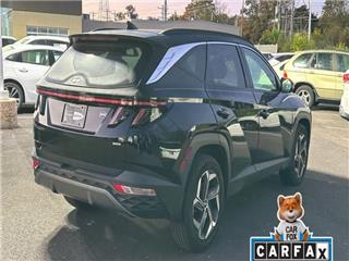 2022 Hyundai Tucson limited