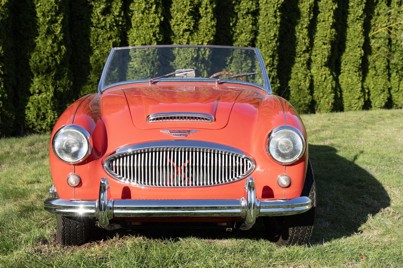 1962 austin-healey