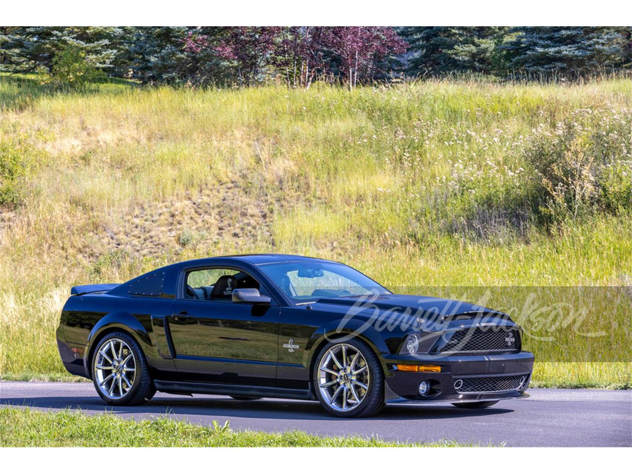 2008 ford shelby gt500