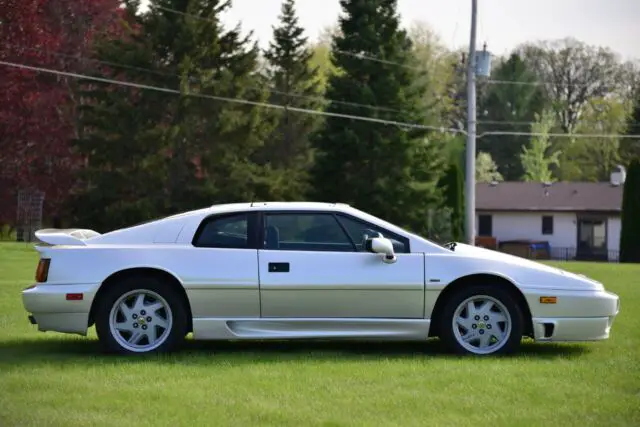 1991 lotus esprit turbo se: beautiful, pearl white, just detailed, well sorted