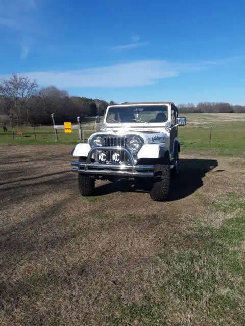1979 golden eagle