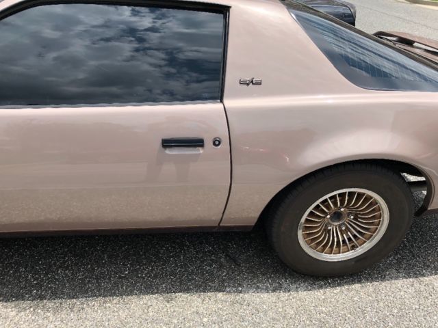 1983 special edition pontiac firebird no reserve