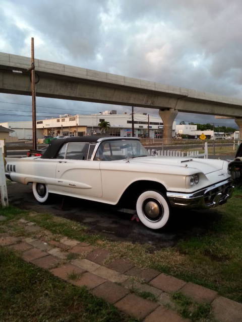 1960 thunderbird