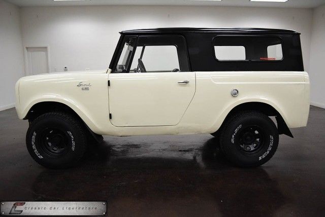 beautiful international scout