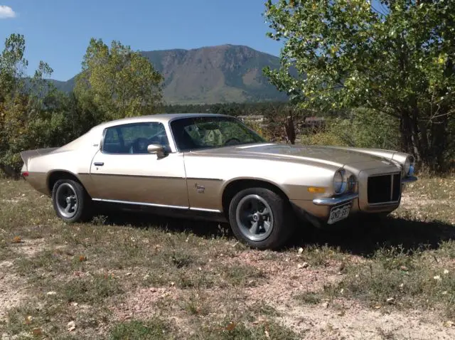 1973 1/2 camaro type lt