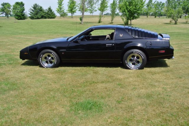 1983 pontiac firebird - special factory order;1 owner;excellent condition