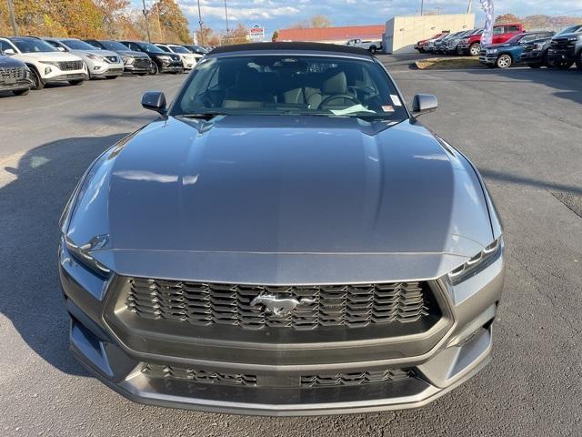 2024 ford mustang ecoboost