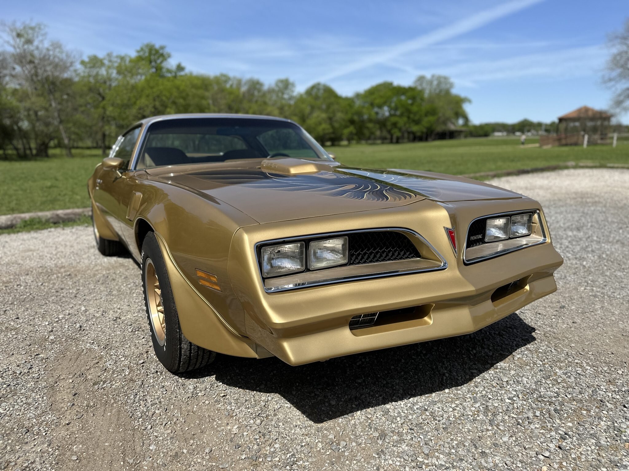 pontiac firebird trans am
