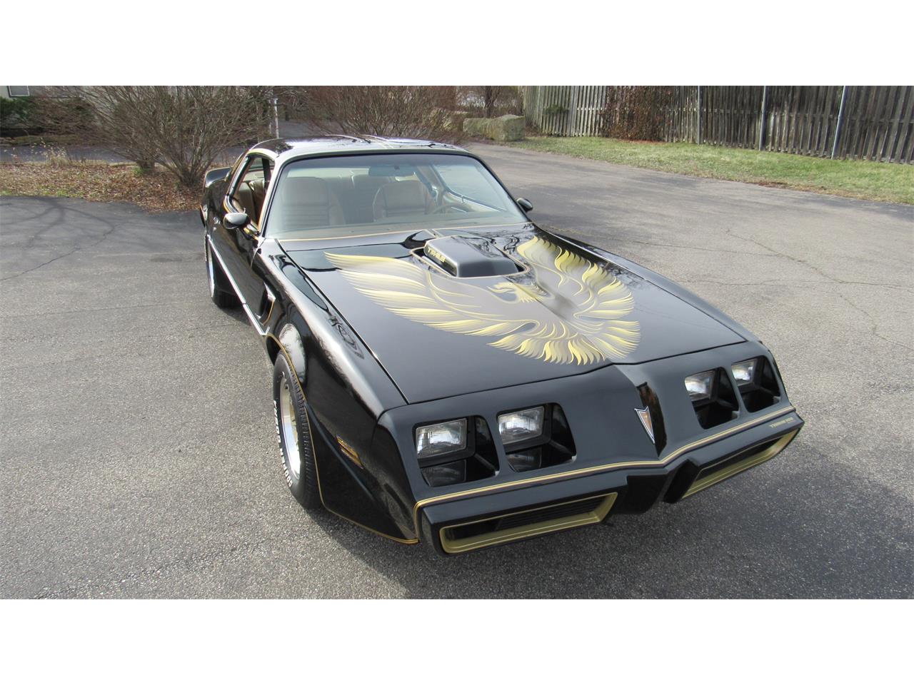 1979 pontiac firebird trans am