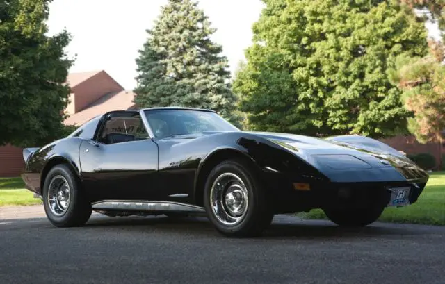 beautiful 1976 stingray - i have been working on this for 3 yrs