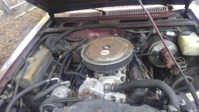 1978 pontiac sunbird knotchback v8 4 speed posi