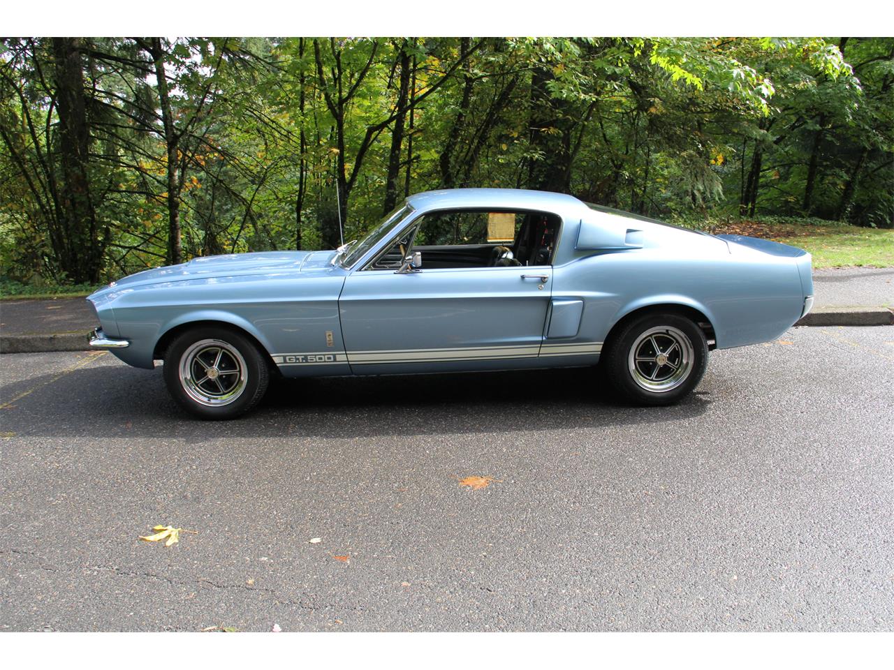 1967 shelby gt500