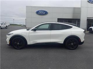 2021 Ford Mustang Mach-E california route 1