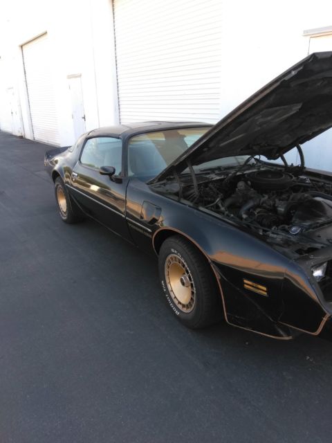 1981 pontiac firebird trans am turbo (bandit) original 30k miles