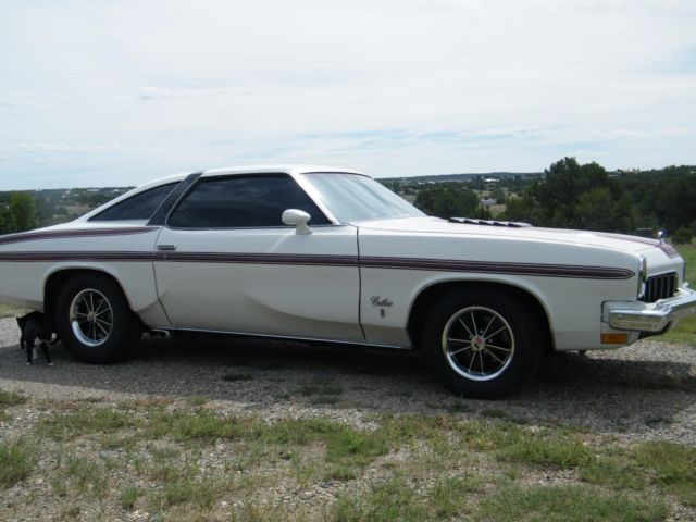 1973 oldsmobile cutlass s 73 olds 442 hurst olds