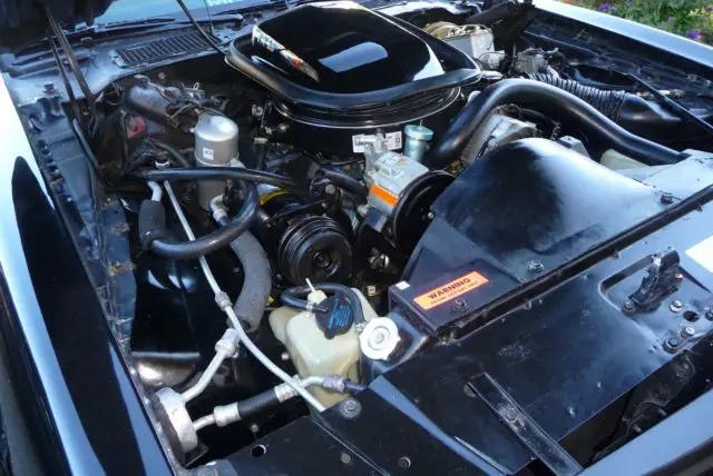 gorgeous example of a rare high optioned car