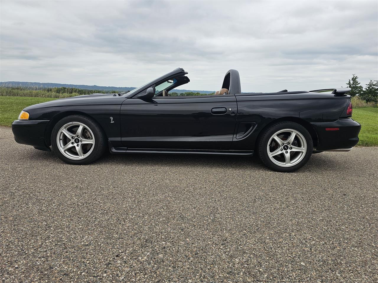 1998 ford mustang svt cobra