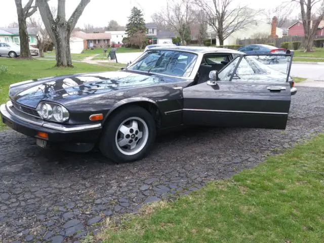 1988 jaguar xjs for sale