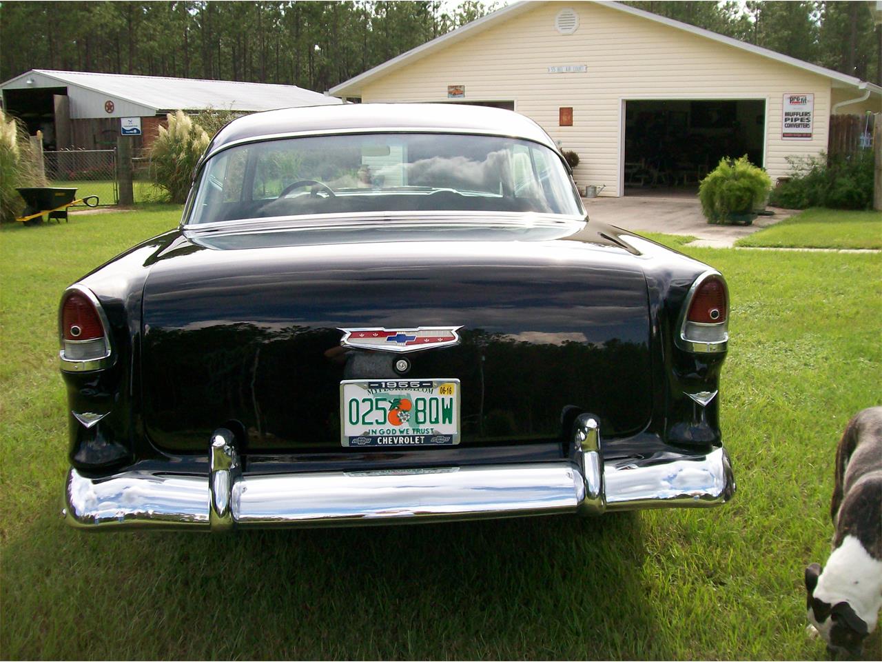 1955 chevrolet bel air