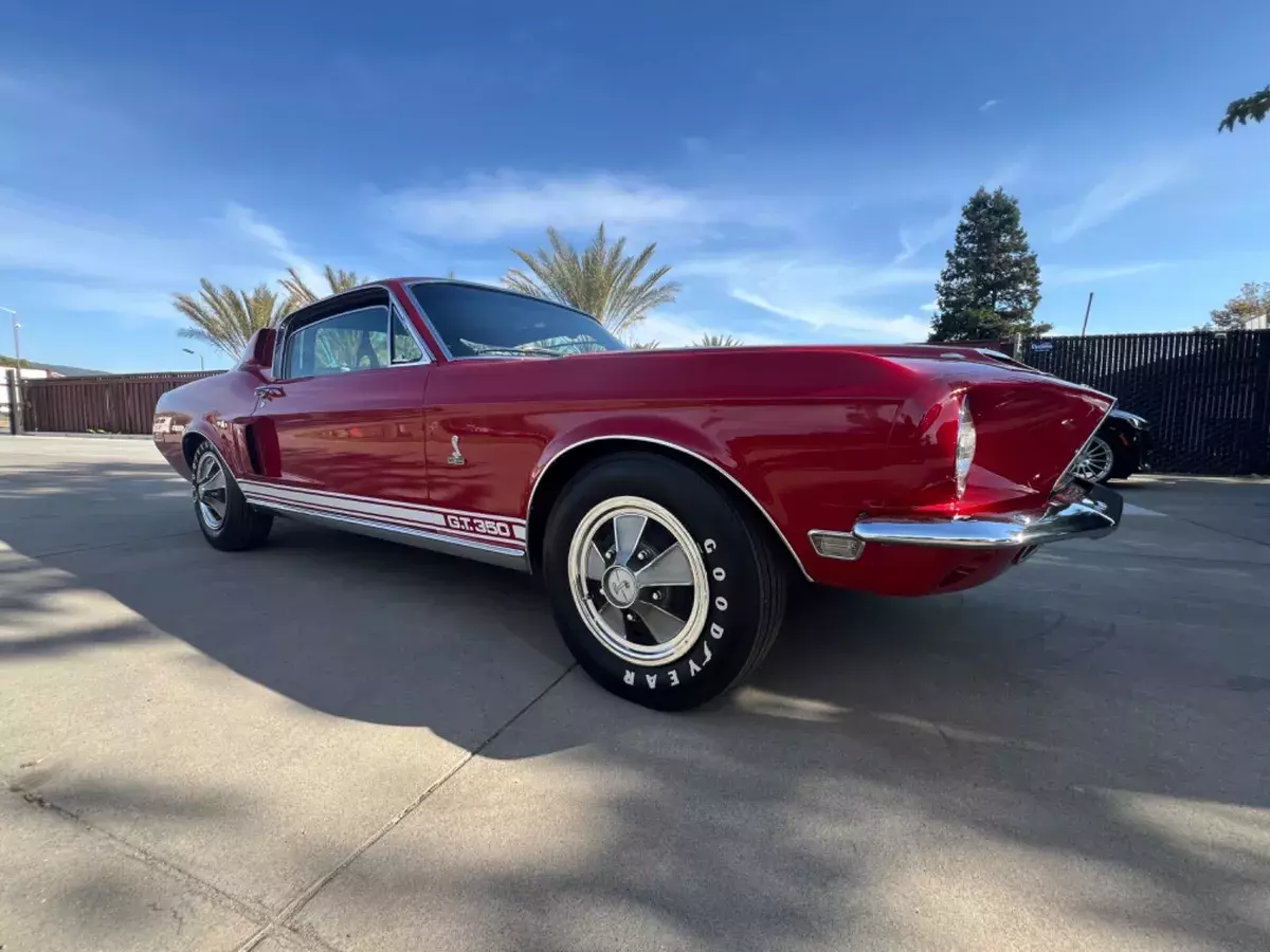 1968 gt350 hertz rent a racer