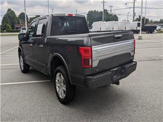 2019 Ford F-150 platinum