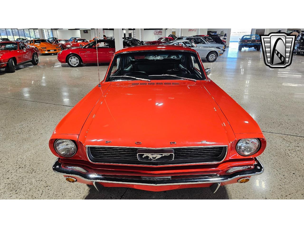 1966 ford mustang