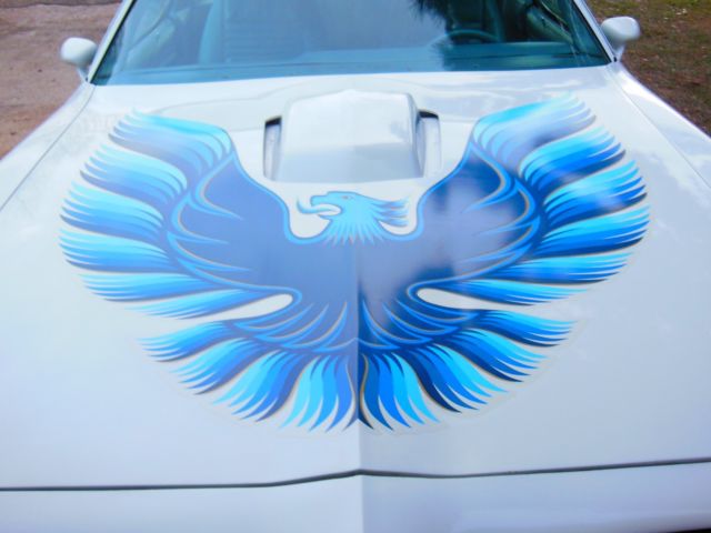 1979 pontiac trans am ,white/ blue bird." a very beautiful original car "