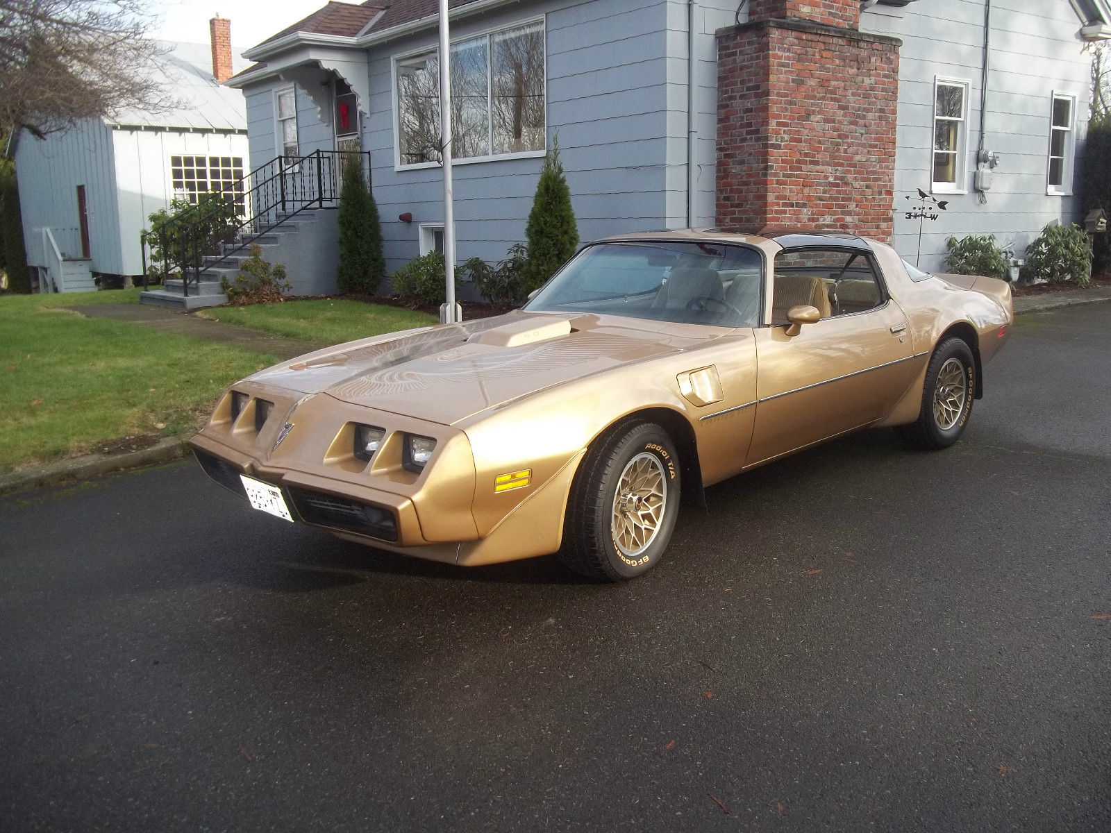 1981 pontiac firebird trans am coupe 2-door 5.0l