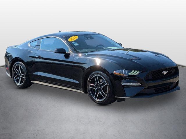 2022 ford mustang ecoboost