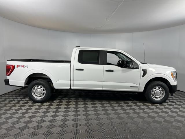 2021 ford f-150 xl