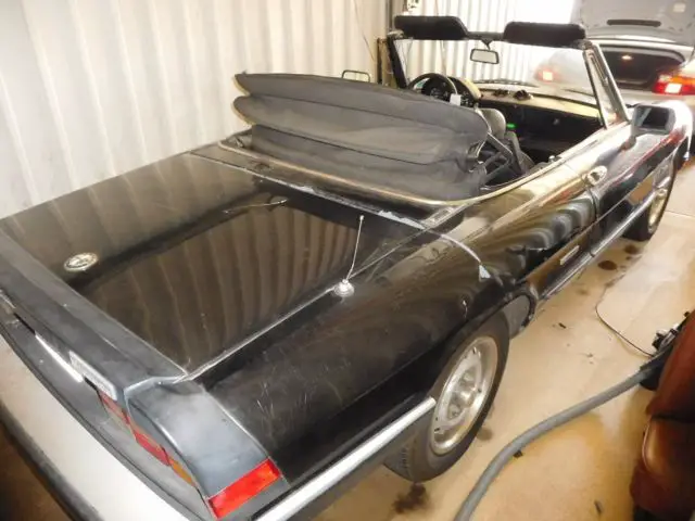 alfa romeo spider